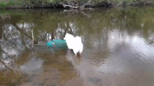 Рыбалка с Самоедом Франком на р.Протва( деревня Глубокий Овраг)..mp4