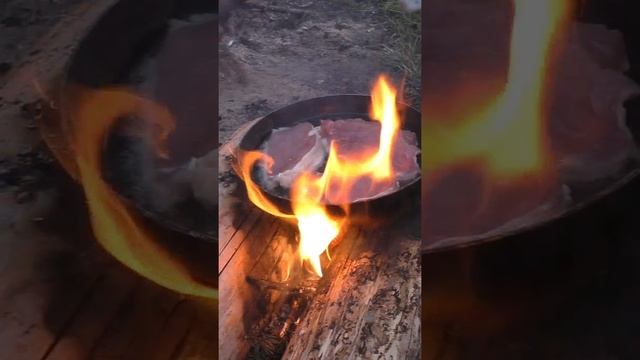 Жарим мясо на костре сделав таежную печь плитку #дмитрийяков #тайга #выживалово #лес