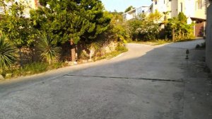 Горный воздух ( Лоо ) частный сектор с телефонами и ценами на жильё 2021 август сентябрь. Сочи.