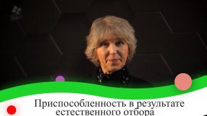 Приспособленность в результате естественного отбора. 9 класс.