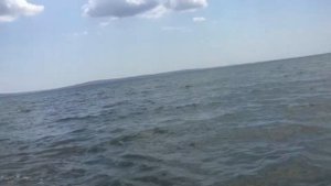 Краснодарский край, Таманский залив. Гаркуша. Пляж. 21.07.2018, 13:32