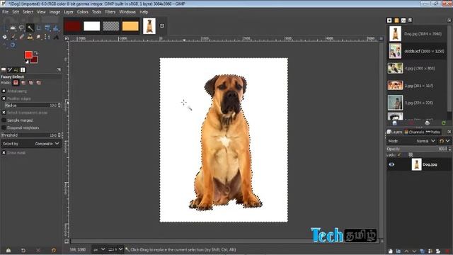 GIMP 2| ICT Grade 11| Unit 03 |Tech tamil | Fahim sir |grade 11 ict lessons in tamil