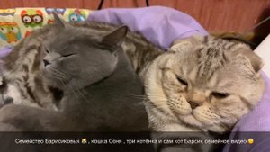 Не устанавливается macOS на iMac , MacBook - решение в этом видео