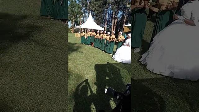 "Kokota Piano" - Wedding Dance смотреть онлайн