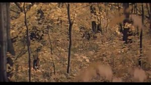 Красный конь