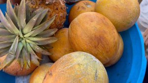 МАХАДЖУНГА 2/ОКЕАН МАДАГАСКАРА/ БАОБАБ/ ЧЕМ ЗАНЯТЬСЯ НА ОТДЫХЕ НА МАДАГАСКАРЕ?