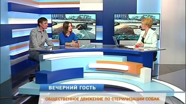 Вечерний гость. Общественное движение по стерилизации собак смотреть онлайн