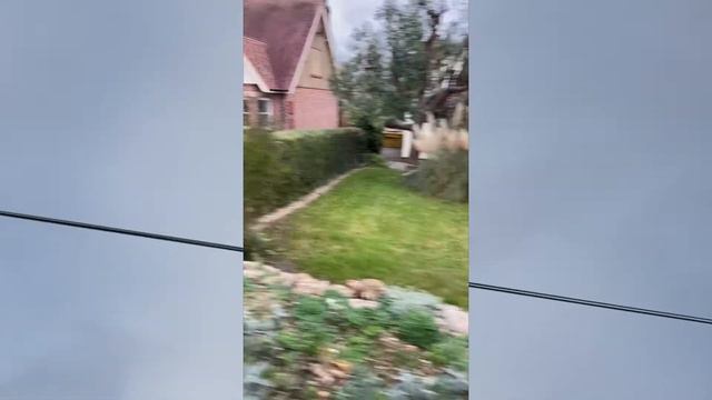 Return to the Ant Society | Official Music Video смотреть онлайн