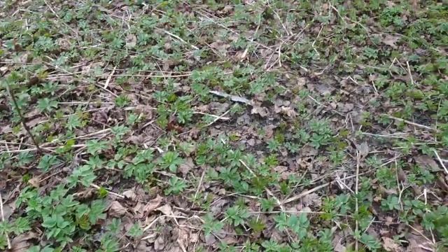 Магия огня . Лучина или свечи ? Древняя магия. смотреть онлайн