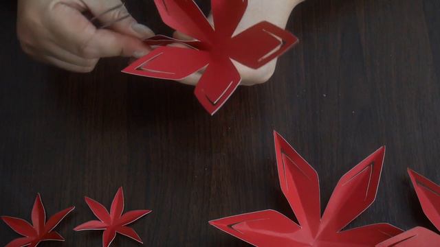 Poinsettia 3 смотреть онлайн