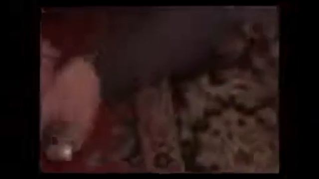 Воры смотреть онлайн