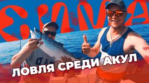 Ловим ЛОСОСЯ на бутылку и скунса!