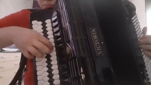 Парень классно играет "Полёт шмеля" аккордеон/баян/гармонь