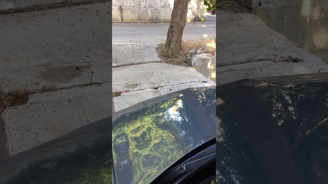 Сигнал от фокуса 2 на Рено Меган 2 смотреть онлайн