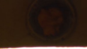 Сарай из вагона метро типа Е