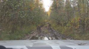 Болото по лежнёвке, очень старой