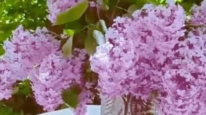 Все лучшее приходит к нам весной!!!! С Добрым весенним утром!!!!