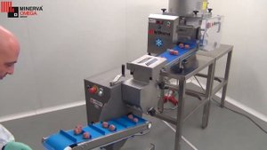 LaMinerva модель CE-MBF модуль для производства фрикаделек, тефтелей