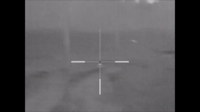 Охота на шакала с тепловизионным прицелом Pulsar Apex XD75 смотреть онлайн