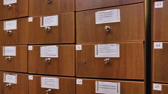 13 Дамиановские чтения