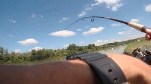 Река Кубань ловля карася