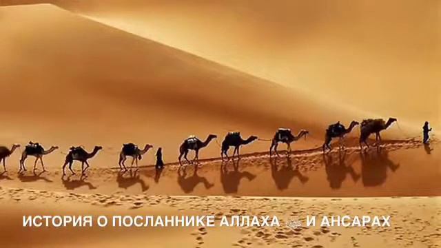 История о посланника АЛЛАХА и Ансарах смотреть онлайн