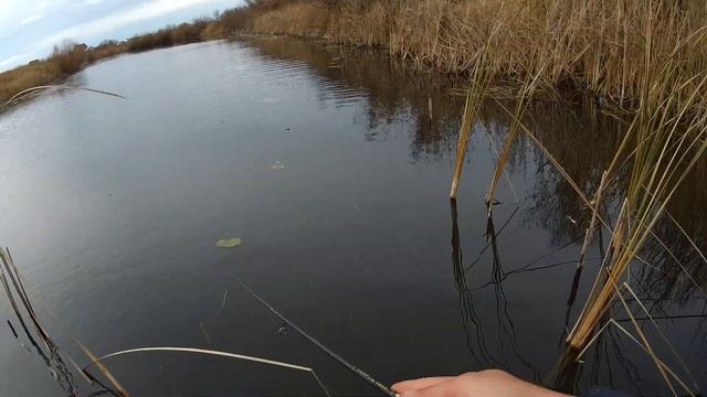 Рыбалка с трофеем! Я его дождался! смотреть онлайн