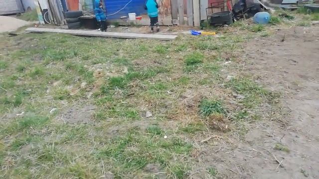 Как обработать почву под газон смотреть онлайн