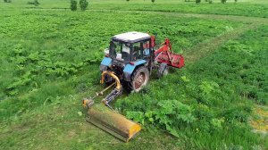 Как в Подмосковье борются с борщевиком / События на ТВЦ