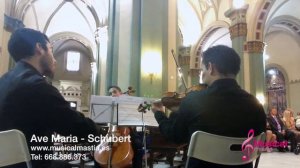 Ave Maria CUARTETO CUERDA CARTAGENA - IGLESIA SANTA MARIA DE GRACIA Musical Mastia Wedding