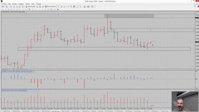 Прямая трансляция пользователя Александр Вега смотреть онлайн