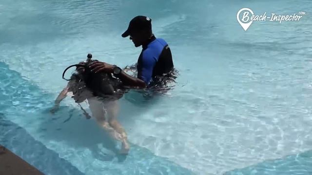 Beach Veranda Resort Grand Baie Beach | Travel to Mauritius смотреть онлайн