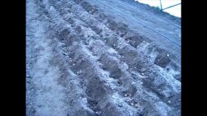 Посадка раннего картофеля в теплице