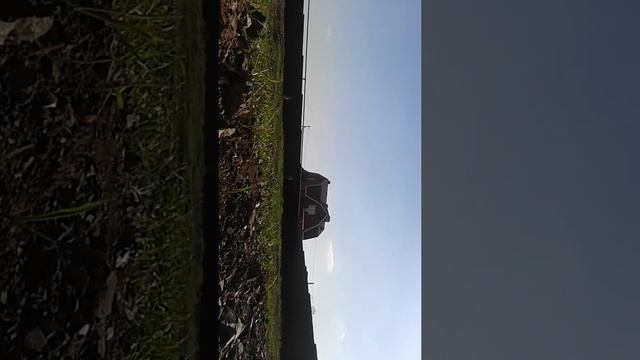 Чип первый раз пробует крутить пятак смотреть онлайн