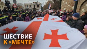 Сторонники ЕНД устроили шествие к офису "Грузинской мечты"