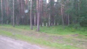Из Северска в Томск на автобусе прокатимся! Это Сибирь!