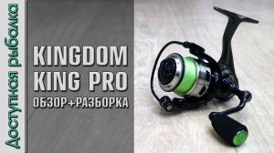 Бюджетная Катушка с АлиЭкспресс для ультралайт спиннинга и не только | KINGDOM KING PRO | Разборка