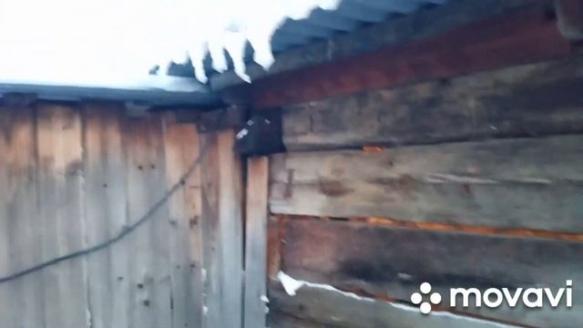 поджимает мороз//дела житейские в деревне//20 января 2023 г.