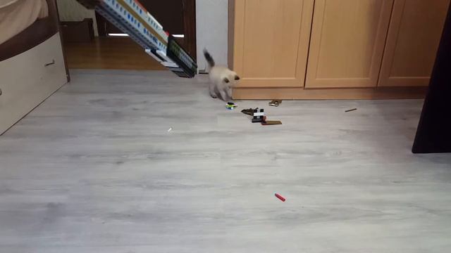 Lego M110/update version смотреть онлайн