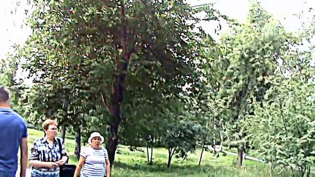 Видео. Нарымский сквер. НОВОСИБИРСК. смотреть онлайн