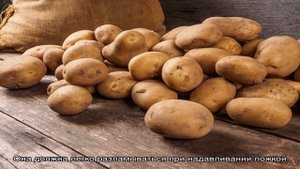 Тушеная картошка с мясом в сметане