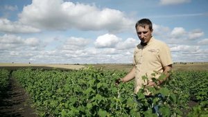 Питомник Школьный сад