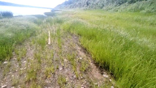 счастливые люди в домике на Печоре. О закрытии весенней охоты на медведя. смотреть онлайн