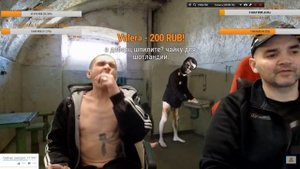ЧЕТКАЯ ЧАЙКА ОТ МОПСА???