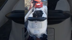 Двигатель от мотоцикла Yamaha в гидроцикл