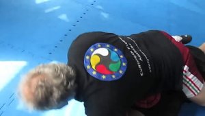 Кюсё джитсу.     Kyusho jitsu.