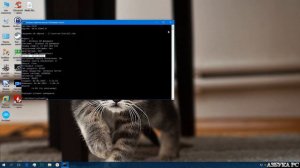 Как узнать номер версии и сборки Windows имея только ISO образ