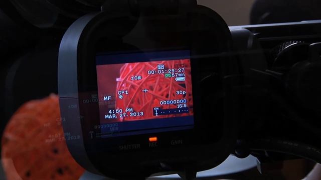 Canon XL2 eBay Acution смотреть онлайн