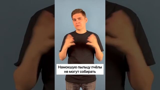 Зачем цветы закрываются на ночь?