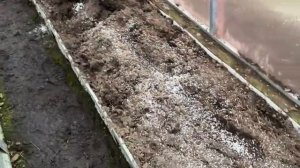 Обзор на огород